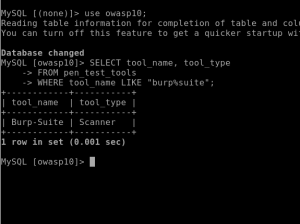 WHERE tool_name like burpsuite