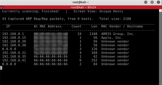 netdiscover-results-1